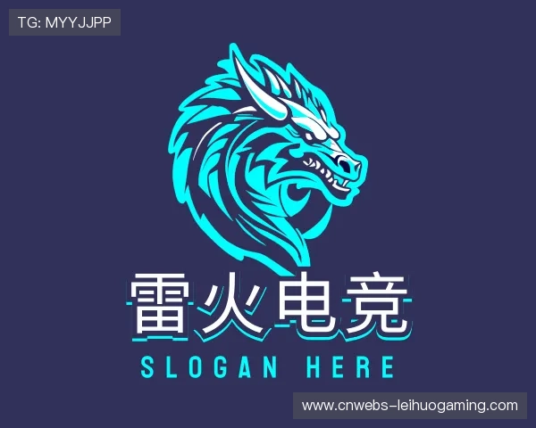 关于雷火电竞团队